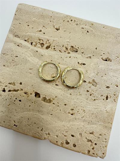 Özel Seri 14k Taşlı Mini Halka Küpe