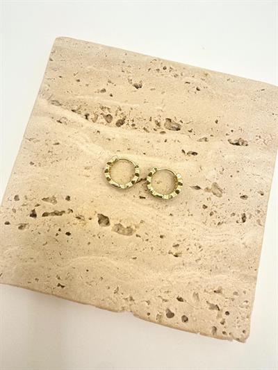 Özel Seri 14k Taşlı Mini Halka Küpe