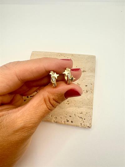 Özel Seri 14k Yıldız Taşlı Mini Halka Küpe