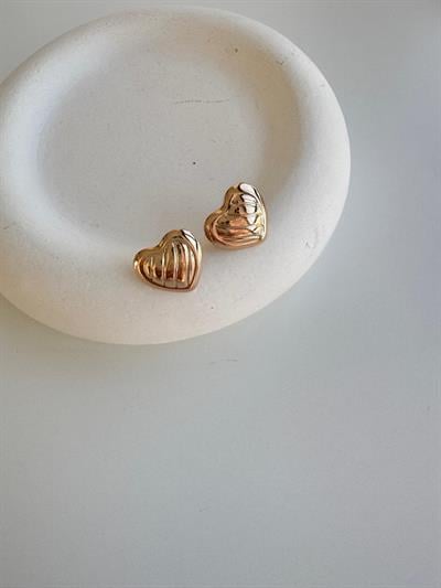 Özel Seri Kalp Küpe