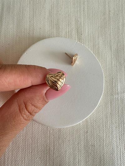 Özel Seri Kalp Küpe