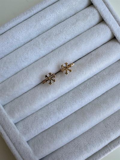 Özel Seri Kar Tanesi Küpe