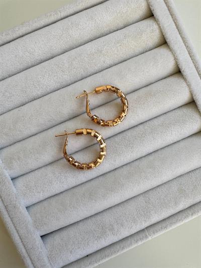 Özel Seri Kıvrımlı Küpe (küçük boy)