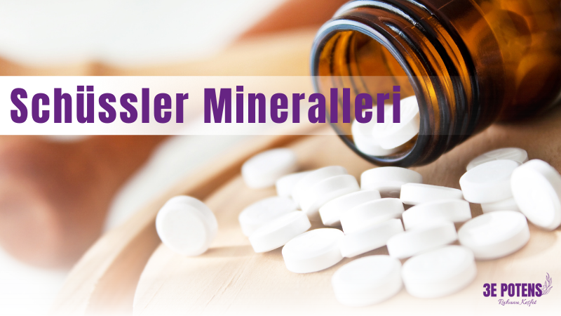 schüsslermineralleri