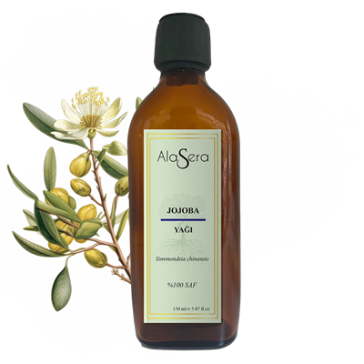 ALASERA JOJOBA YAĞI 150 ML