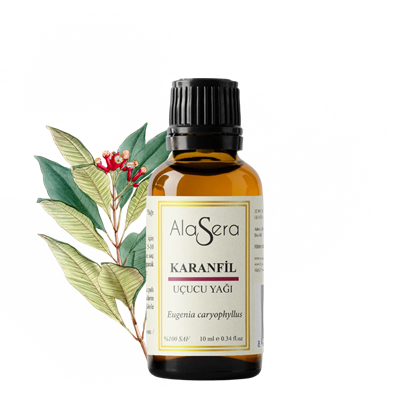 ALASERA KARANFİL 10 ML