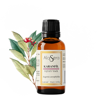 ALASERA KARANFİL 50 ML