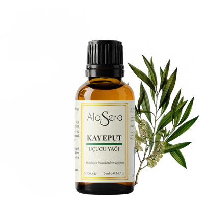 ALASERA KAYEPUT YAĞI 10 ML