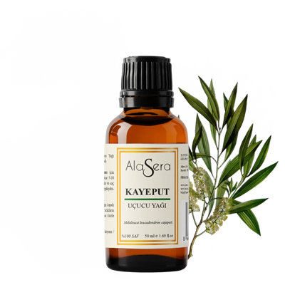 ALASERA KAYEPUT YAĞI 50 ML