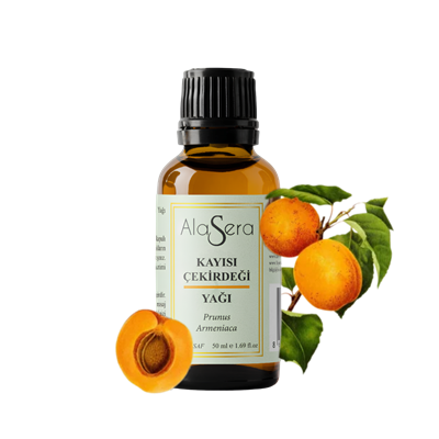 ALASERA KAYISI ÇEKİRDEĞİ 50 ML