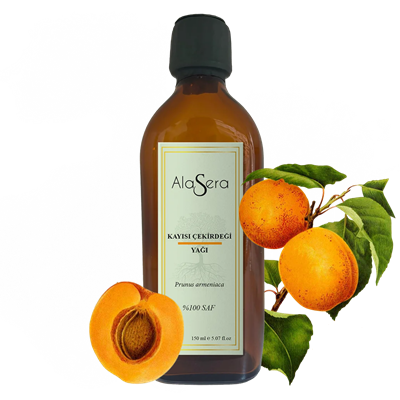 ALASERA KAYISI ÇEKİRDEĞİ YAĞI 150 ML