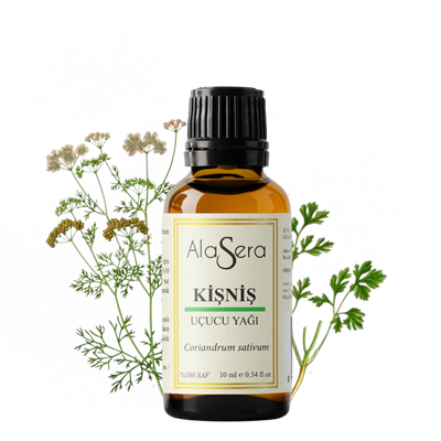ALASERA KİŞNİŞ YAĞI 10 ML