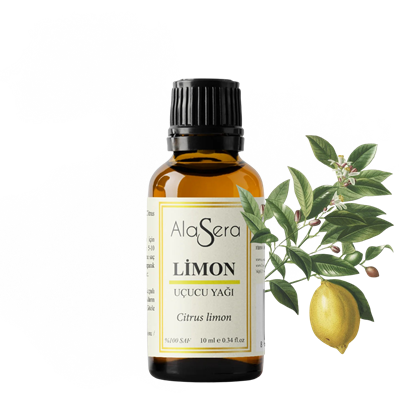 ALASERA LİMON 10 ML