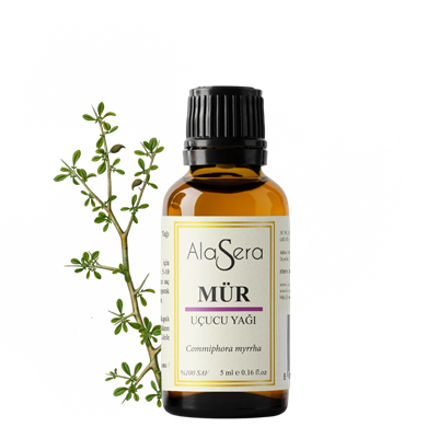 ALASERA MÜR 5 ML