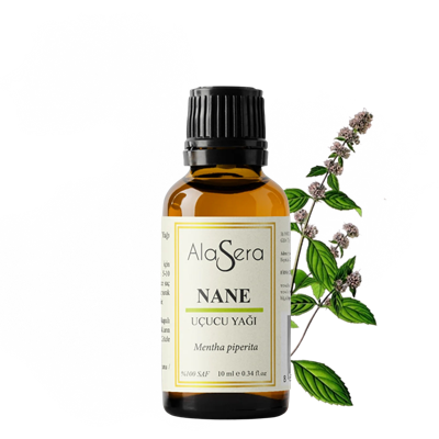 ALASERA NANE YAĞI 10 ML
