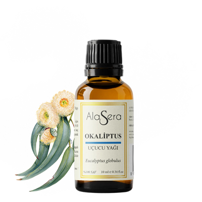 ALASERA OKALİPTUS 10 ML