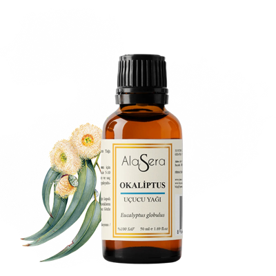 ALASERA OKALİPTUS 50 ML