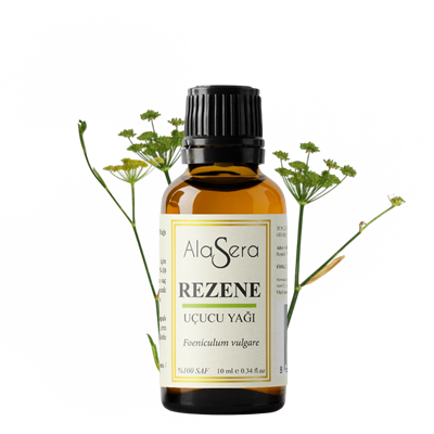 ALASERA REZENE YAĞI 10 ML
