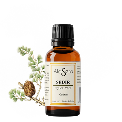 ALASERA SEDİR 50 ML