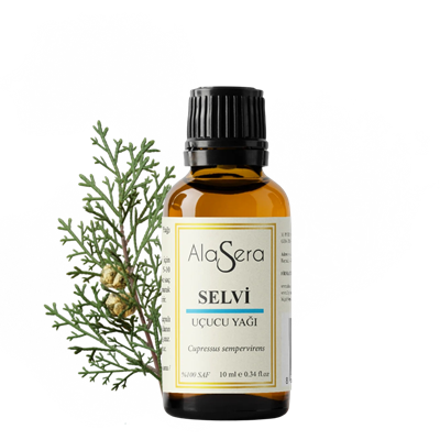 ALASERA SELVİ 10 ML