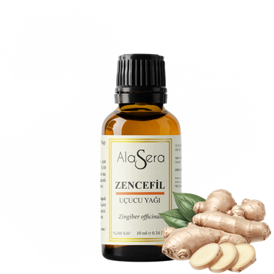 ALASERA ZENCEFİL 10 ML