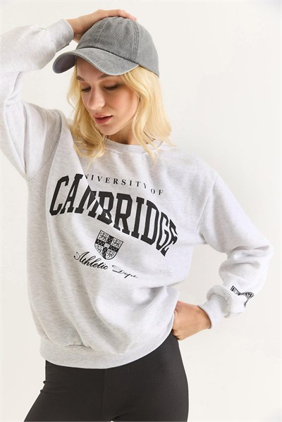 Gri Baskılı Şardonlu Sweatshirt