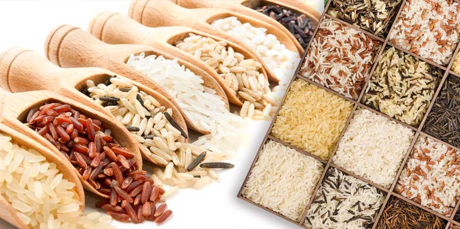 تفاوت بین انواع برنج: باسماتی، طارم، صدری، شیرودی و...