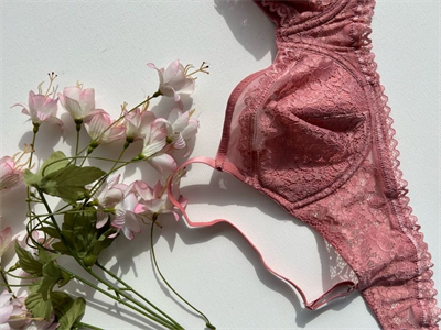 Pembe Sütyen Takımı