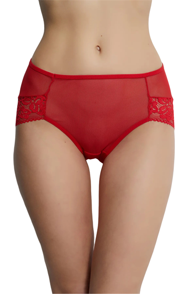 Dantel Bato Model 3lü Dantel Detaylı Kadın Külot 