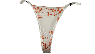 Dantel Dantel Kır Çiçeği Büyük Beden Külot