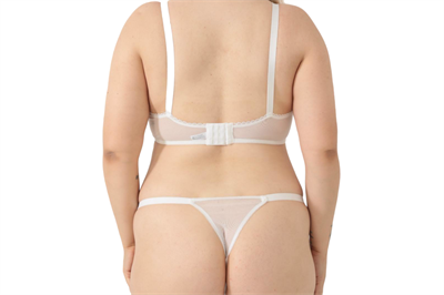 Dantel Güz Çiçeği