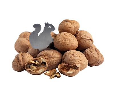 Cancan 1307 Ceviz Açacağı