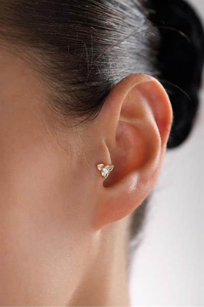 3 Yapraklı Taşlı Çiçek Tragus Küpe