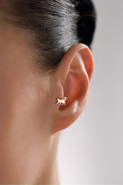 Shine Kedi Tragus Küpe