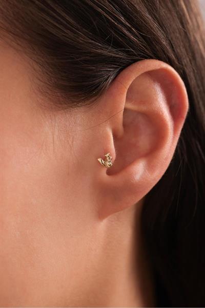 Sincap Tragus Küpe