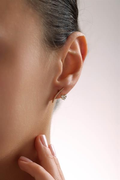 Kalp Burgu Spine Küpe