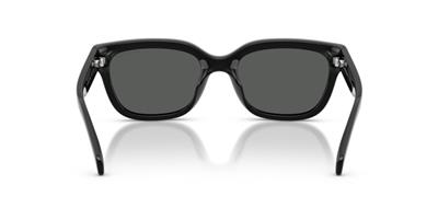 Armani Exchange 0AX4155SU 815887 54 Enjeksiyon Kadın Güneş Gözlüğü