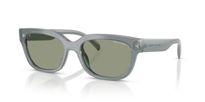 Armani Exchange 0AX4155SU 8375/2 54 Enjeksiyon Kadın Güneş Gözlüğü