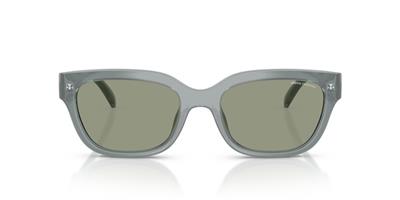 Armani Exchange 0AX4155SU 8375/2 54 Enjeksiyon Kadın Güneş Gözlüğü
