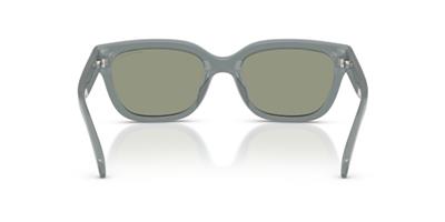 Armani Exchange 0AX4155SU 8375/2 54 Enjeksiyon Kadın Güneş Gözlüğü