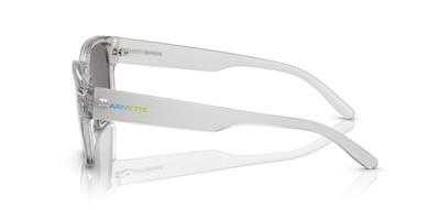 Arnette AN4325 28586G 54 Unisex Güneş Gözlüğü