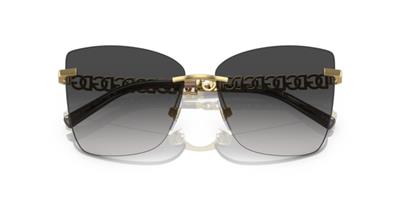 Dolce Gabbana DG2289 02/8G 59 Kadın Güneş Gözlüğü
