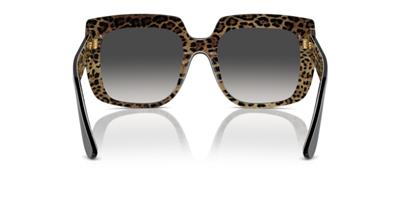 Dolce Gabbana DG4414 32998G 54 Kadın Güneş Gözlüğü
