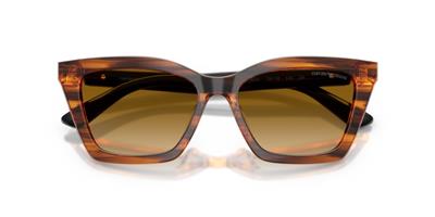 Emporio Armani 0EA4250U 62682L 54 Asetat Kadın Güneş Gözlüğü