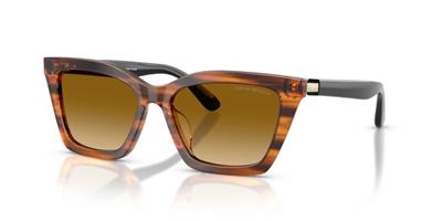 Emporio Armani 0EA4250U 62682L 54 Asetat Kadın Güneş Gözlüğü