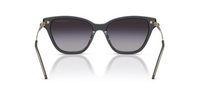 Emporio Armani 0EA4251 62628G 54 Asetat Kadın Güneş Gözlüğü