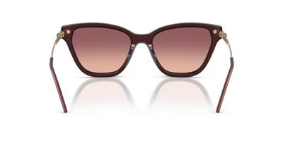 Emporio Armani 0EA4251 62658D 54 Asetat Kadın Güneş Gözlüğü