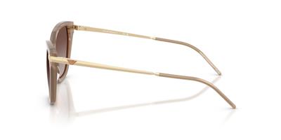 Emporio Armani EA4251 626313 54 Kadın Güneş Gözlüğü