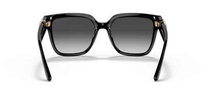 Michael Kors MK2170U 30058G Kadın Güneş Gözlüğü