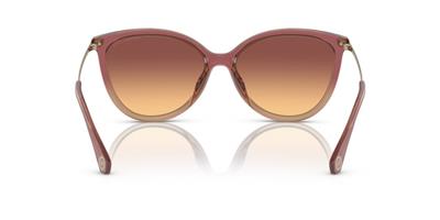 Michael Kors MK2184U 325678 Kadın Güneş Gözlüğü
